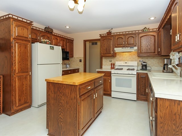 131 Will Scarlett Ln, Elgin, IL 60120 photo 6