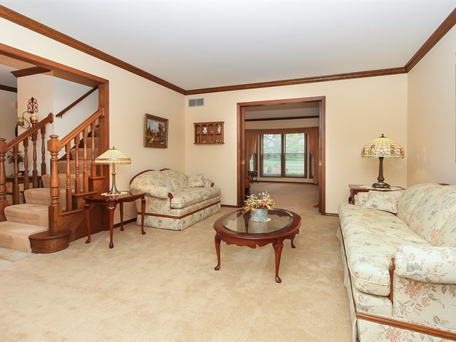 131 Will Scarlett Ln, Elgin, IL 60120 photo 3