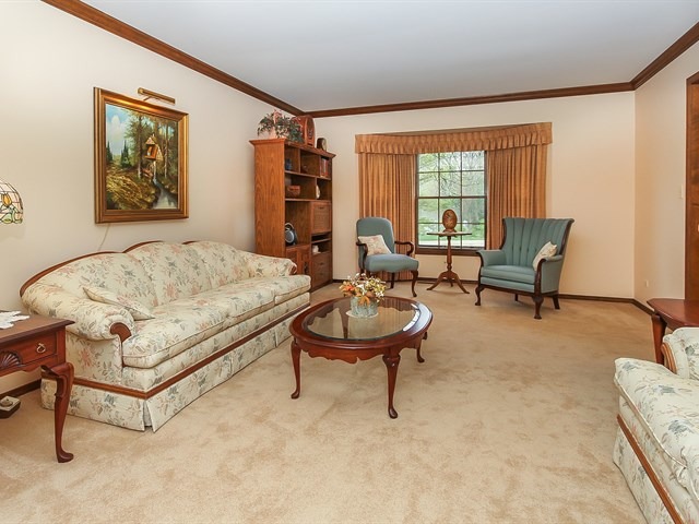 131 Will Scarlett Ln, Elgin, IL 60120 photo 4