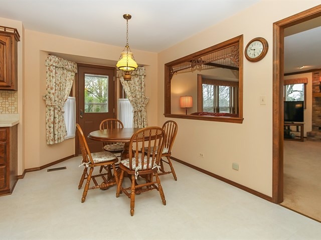 131 Will Scarlett Ln, Elgin, IL 60120 photo 8