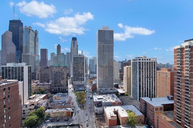 4 Elm St #8S, Chicago, IL 60611 photo 18