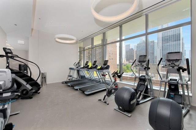 4 Elm St #8S, Chicago, IL 60611 photo 20