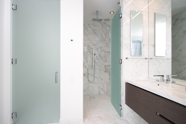 4 Elm St #8S, Chicago, IL 60611 photo 13