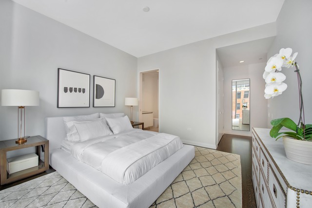 4 Elm St #8S, Chicago, IL 60611 photo 15