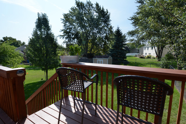 633 Stafford Dr, Roselle, IL 60172 photo 20