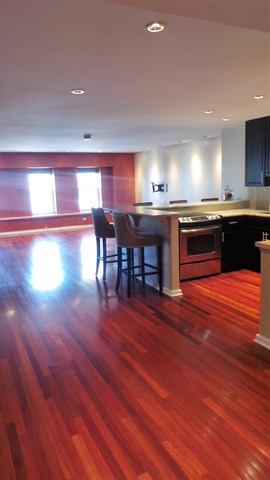 40 E 9th St #1809, Chicago, IL 60605 photo 3
