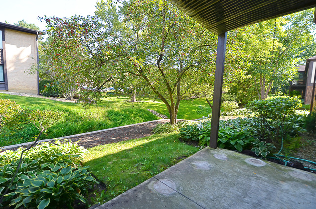 218 Brookside Ln #A, Willowbrook, IL 60527 photo 17