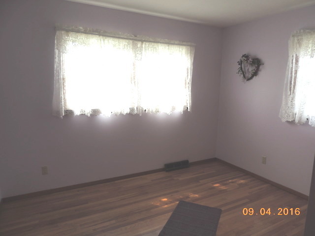 303 Nelson Ave, Spring Valley, IL 61362 photo 6