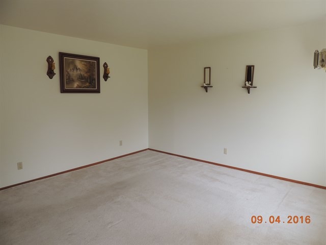 303 Nelson Ave, Spring Valley, IL 61362 photo 3