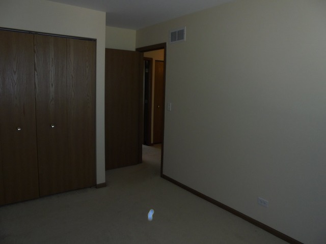 1121 Serendipity Dr, Aurora, IL 60504 photo 11