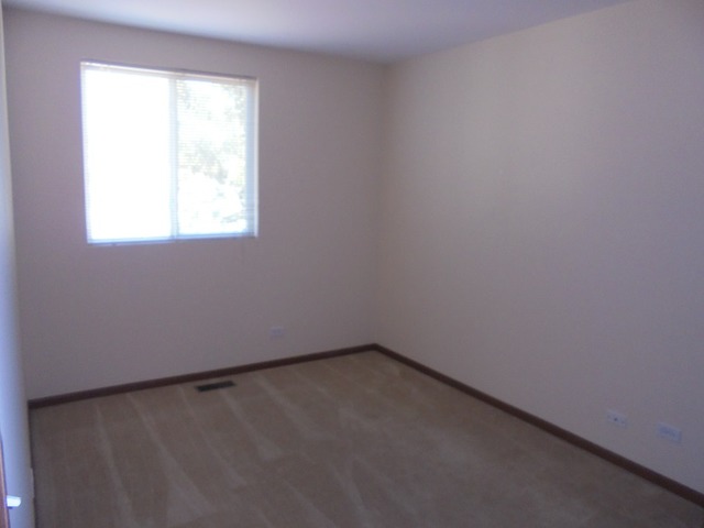 1121 Serendipity Dr, Aurora, IL 60504 photo 10