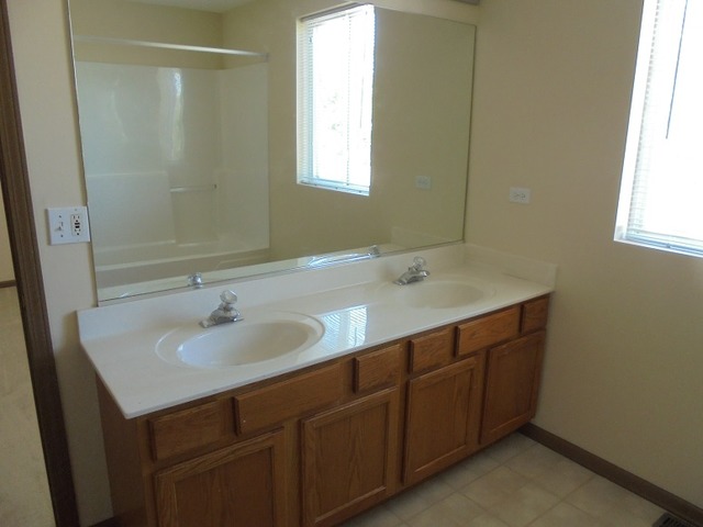 1121 Serendipity Dr, Aurora, IL 60504 photo 9