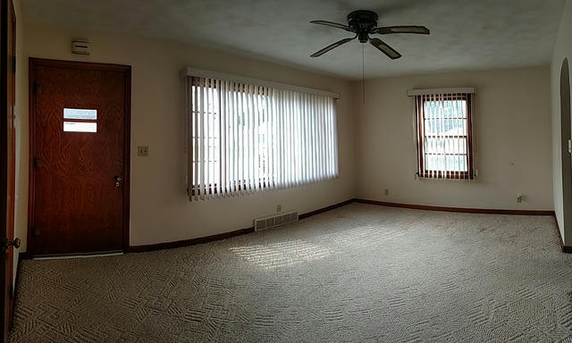 409 E Colden St, Polo, IL 61064 photo 3