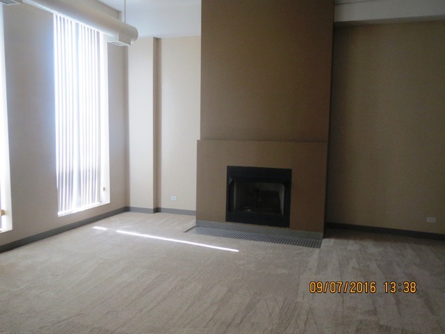220 E Downer Pl #206, Aurora, IL 60505 photo 3