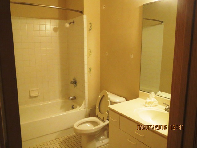 220 E Downer Pl #206, Aurora, IL 60505 photo 7
