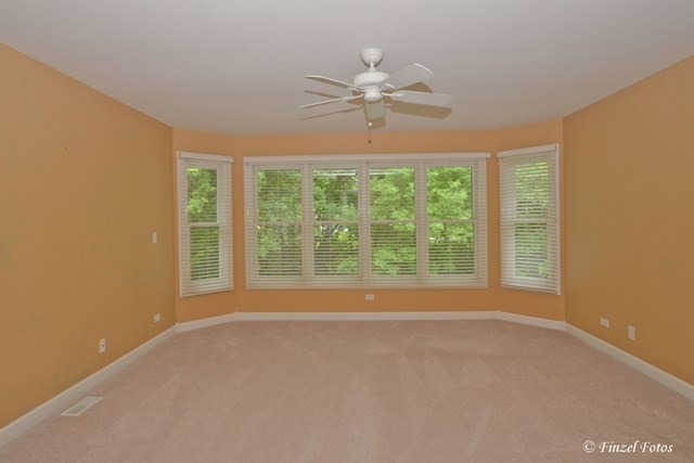 7215 Horseshoe Ct, Cary, IL 60013 photo 13