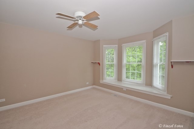 7215 Horseshoe Ct, Cary, IL 60013 photo 15