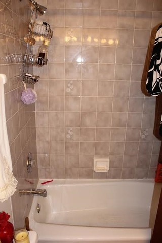 9802 S Beverly Ave, Chicago, IL 60643 photo 11