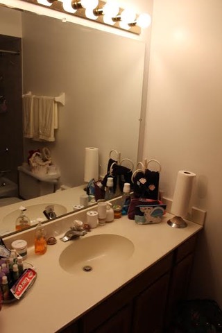 9802 S Beverly Ave, Chicago, IL 60643 photo 10