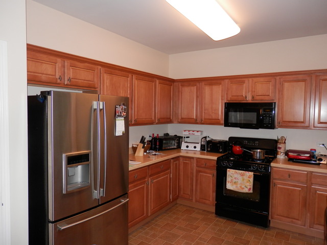 12870 Applegate Dr, Huntley, IL 60142 photo 3