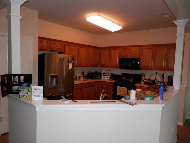 12870 Applegate Dr, Huntley, IL 60142 photo 5