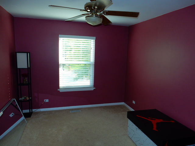 310 Barton Ct, Bartlett, IL 60103 photo 8
