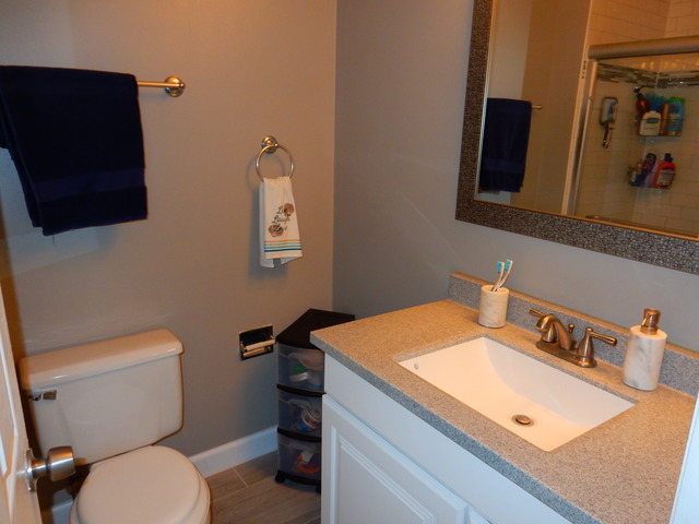 310 Barton Ct, Bartlett, IL 60103 photo 10