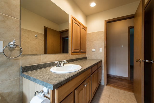 7601 S Octavia Ave, Bridgeview, IL 60455 photo 18