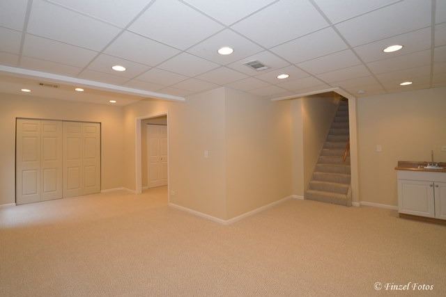 2208 Moser Ln, Algonquin, IL 60102 photo 20