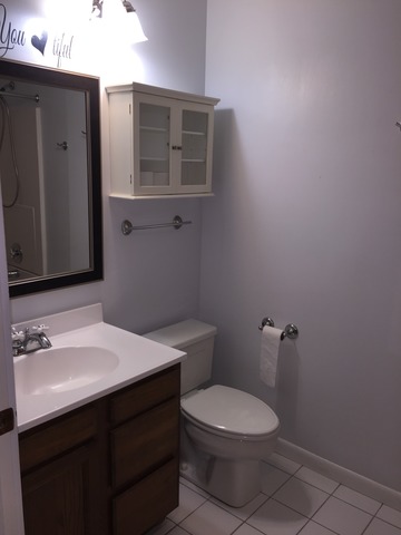 806 Edgewater Dr, Naperville, IL 60540 photo 13