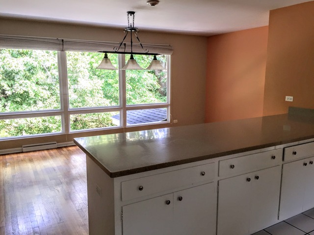 806 Edgewater Dr, Naperville, IL 60540 photo 3