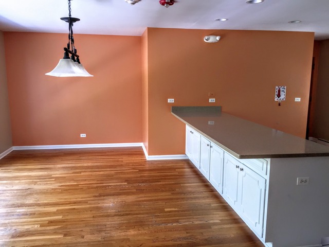 806 Edgewater Dr, Naperville, IL 60540 photo 4
