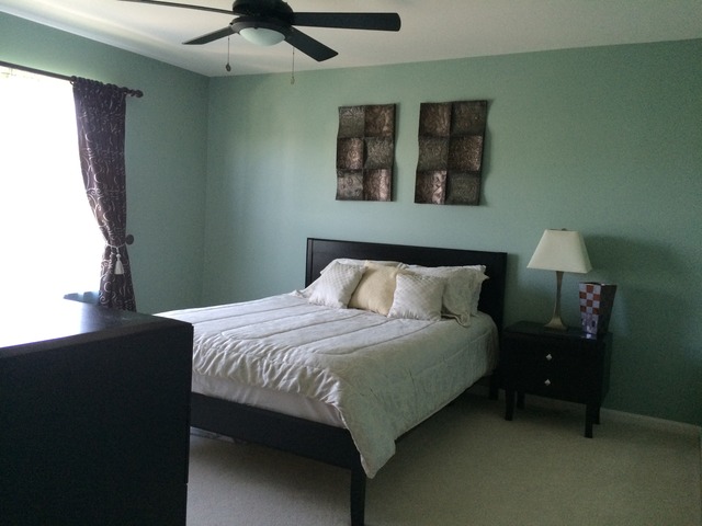 5429 Swan Cir, Hoffman Estates, IL 60192 photo 23