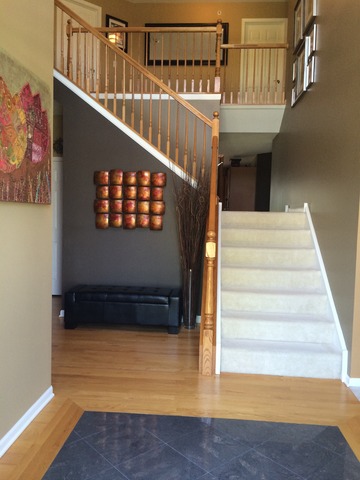 5429 Swan Cir, Hoffman Estates, IL 60192 photo 5