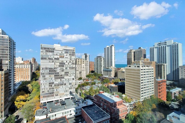 4 Elm St #13N, Chicago, IL 60611 photo 6