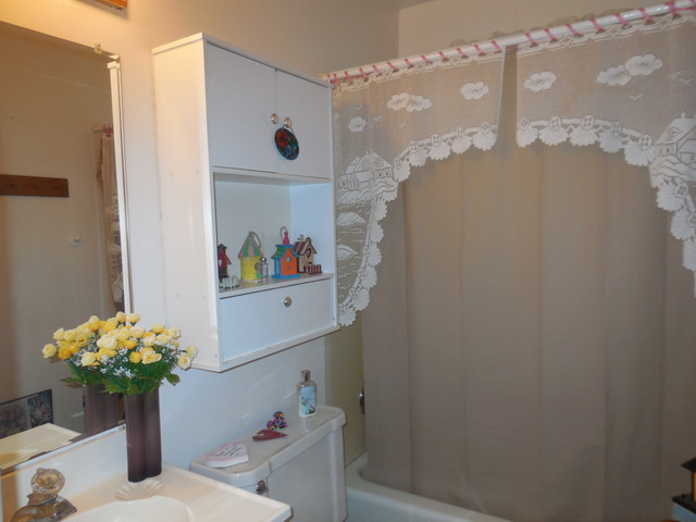585 Illinois Blvd, Hoffman Estates, IL 60169 photo 15
