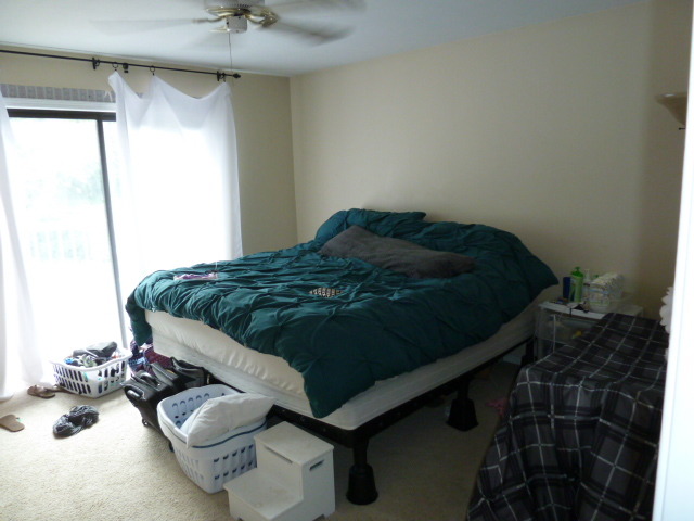 303 W Morse Ave, Bartlett, IL 60103 photo 6