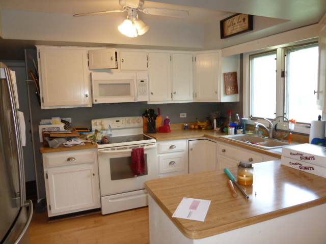303 W Morse Ave, Bartlett, IL 60103 photo 2