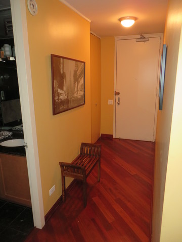 30 E Huron St #2109, Chicago, IL 60611 photo 9