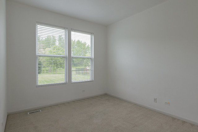 25022 Blue Iris Ct S, Plainfield, IL 60585 photo 11