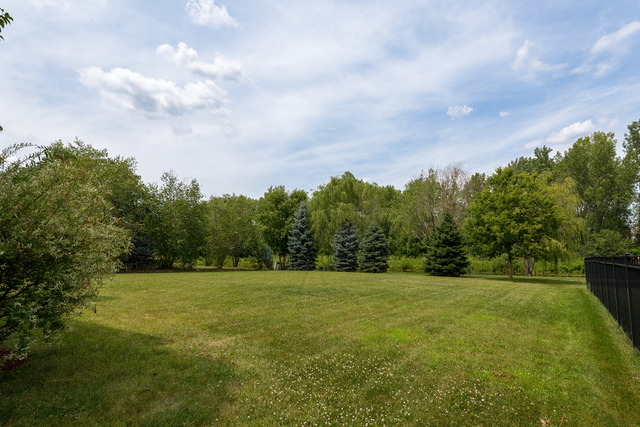25022 Blue Iris Ct S, Plainfield, IL 60585 photo 4