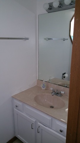 1359 Quincy Ct, Elgin, IL 60120 photo 17