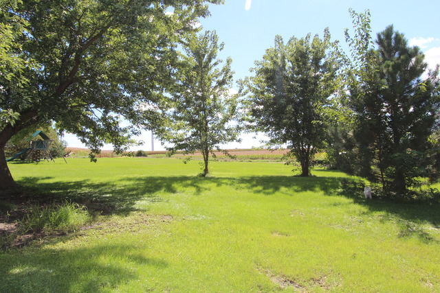 4285 W Ransom Rd, Dwight, IL 60420 photo 19