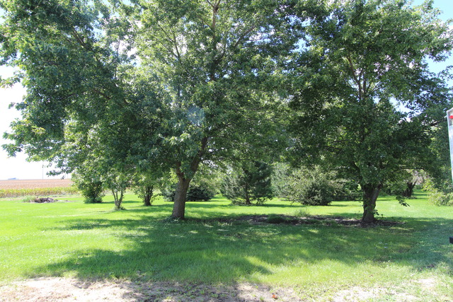 4285 W Ransom Rd, Dwight, IL 60420 photo 16