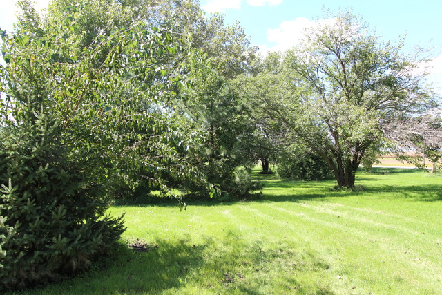 4285 W Ransom Rd, Dwight, IL 60420 photo 18