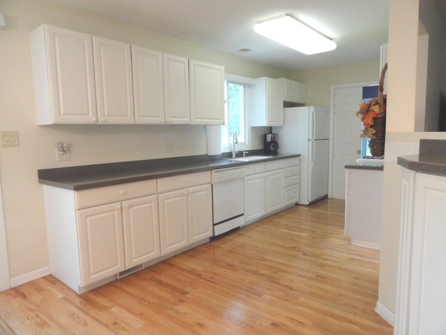 1007 E Alder Ln, Mount Prospect, IL 60056 photo 10