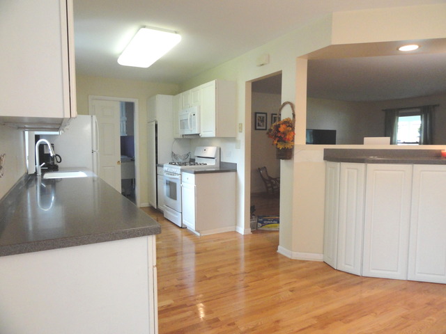 1007 E Alder Ln, Mount Prospect, IL 60056 photo 9