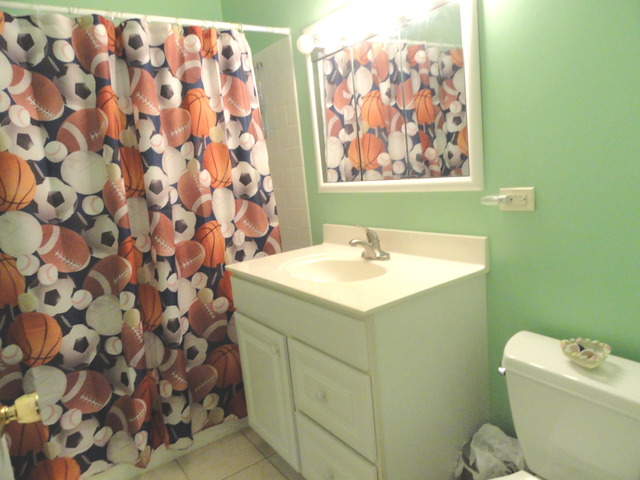 1007 E Alder Ln, Mount Prospect, IL 60056 photo 17