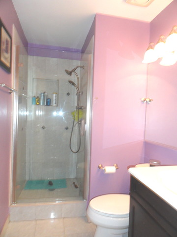 1007 E Alder Ln, Mount Prospect, IL 60056 photo 13