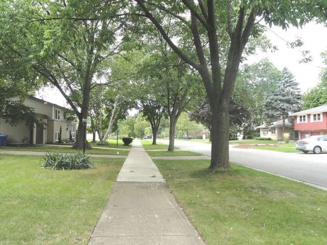 1007 E Alder Ln, Mount Prospect, IL 60056 photo 25
